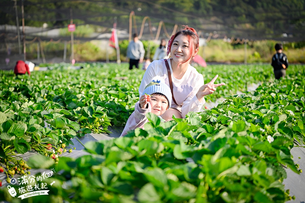 【2026國姓景點一日遊】TOP10國姓景點推薦,最新春秋山林.採草莓.橋聳雲天.燈籠階梯.水鹿咖啡.元寶土地公廟,南投美食景點攻略!