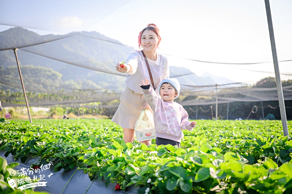 【2026國姓景點一日遊】TOP10國姓景點推薦,最新春秋山林.採草莓.橋聳雲天.燈籠階梯.水鹿咖啡.元寶土地公廟,南投美食景點攻略!
