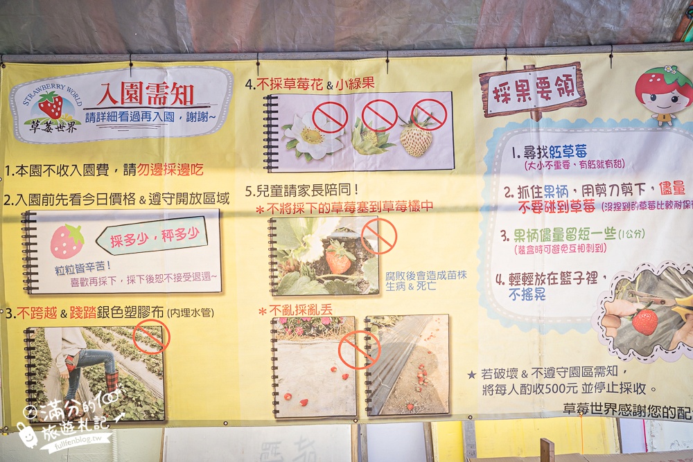 【草莓世界】台中免門票親子草莓園.超大高架草莓&地植草莓,還能玩拍草莓公仔吃草莓料理! 【草莓世界】台中免門票親子草莓園.超大高架草莓&地植草莓,還能玩拍草莓公仔吃草莓料理!