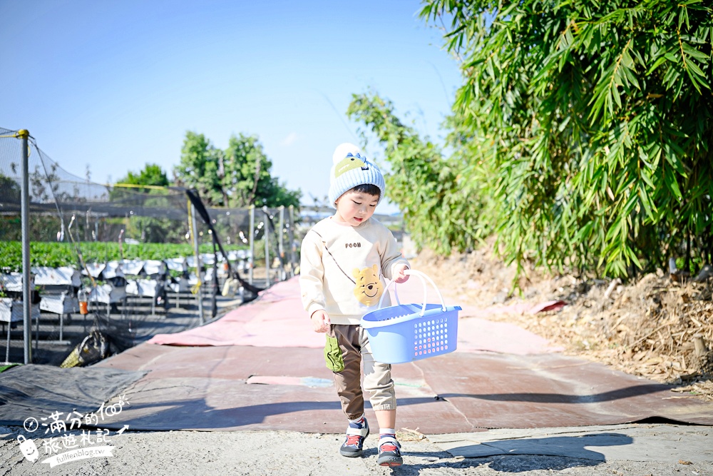 【草莓世界】台中免門票親子草莓園.超大高架草莓&地植草莓,還能玩拍草莓公仔吃草莓料理! 【草莓世界】台中免門票親子草莓園.超大高架草莓&地植草莓,還能玩拍草莓公仔吃草莓料理!