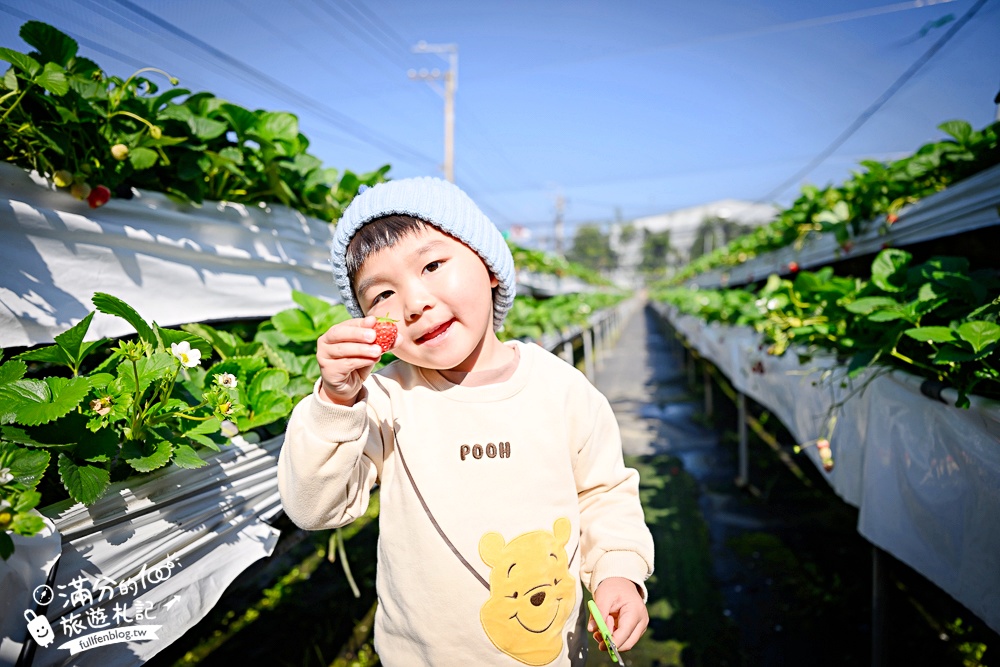 【草莓世界】台中免門票親子草莓園.超大高架草莓&地植草莓,還能玩拍草莓公仔吃草莓料理! 【草莓世界】台中免門票親子草莓園.超大高架草莓&地植草莓,還能玩拍草莓公仔吃草莓料理!
