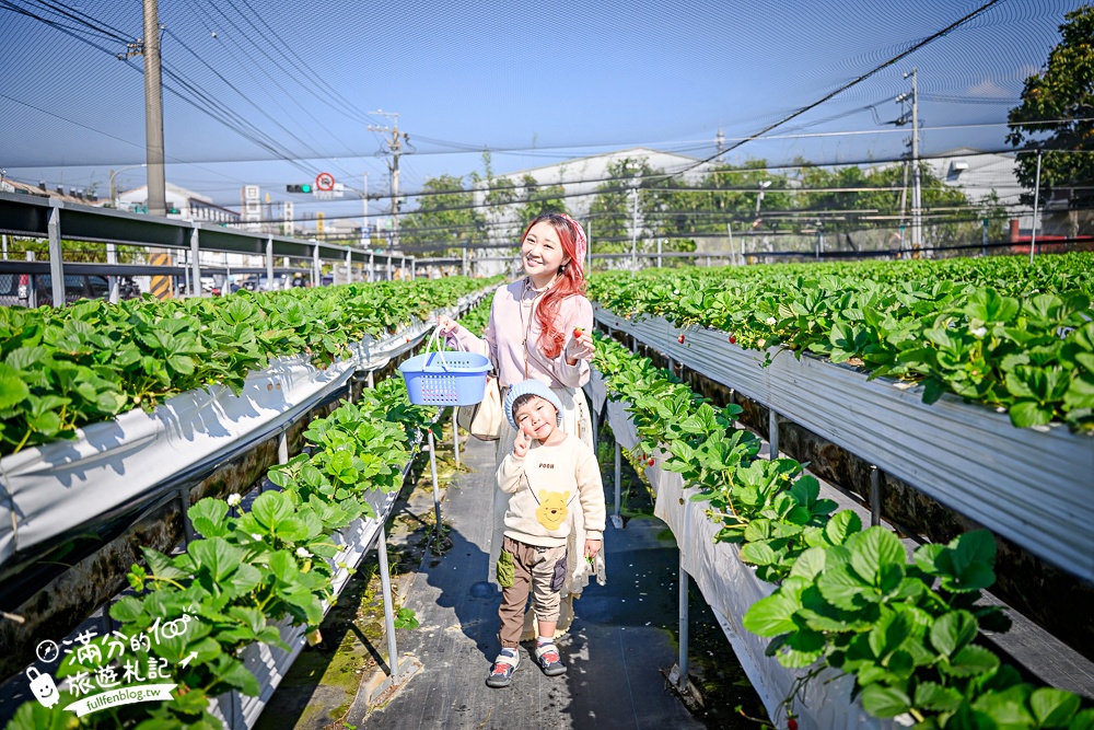 【草莓世界】台中免門票親子草莓園.超大高架草莓&地植草莓,還能玩拍草莓公仔吃草莓料理! 【草莓世界】台中免門票親子草莓園.超大高架草莓&地植草莓,還能玩拍草莓公仔吃草莓料理!