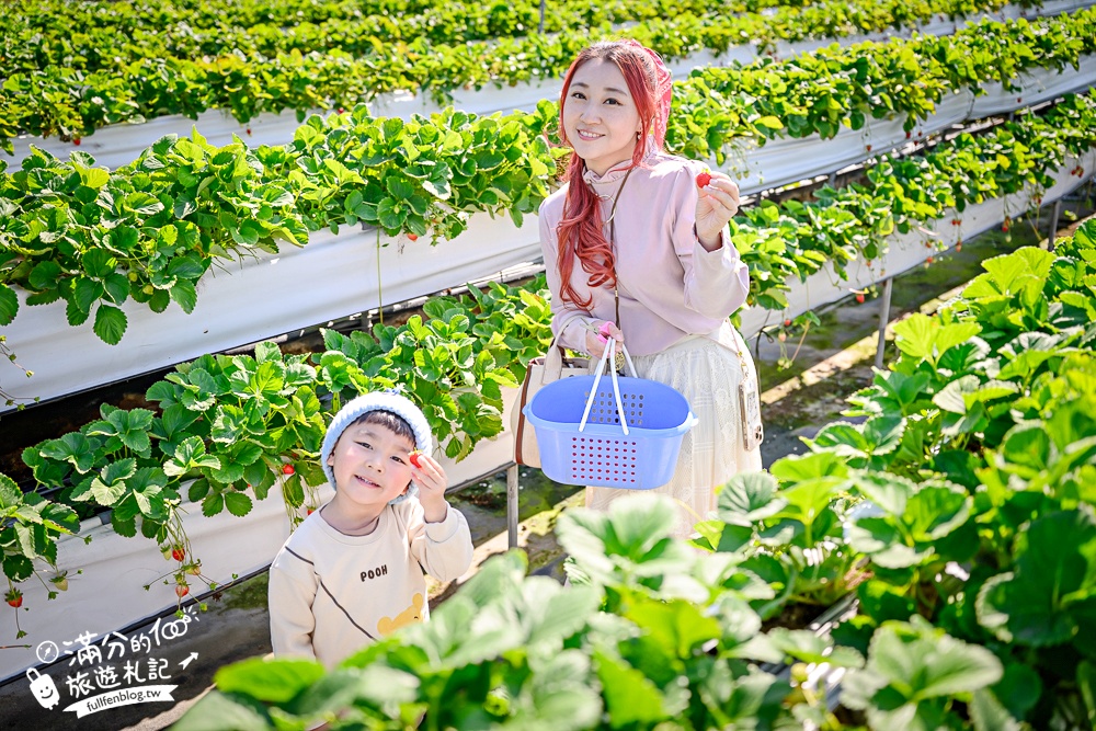 【草莓世界】台中免門票親子草莓園.超大高架草莓&地植草莓,還能玩拍草莓公仔吃草莓料理! 【草莓世界】台中免門票親子草莓園.超大高架草莓&地植草莓,還能玩拍草莓公仔吃草莓料理!