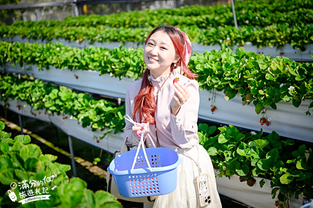 【草莓世界】台中免門票親子草莓園.超大高架草莓&地植草莓,還能玩拍草莓公仔吃草莓料理! 【草莓世界】台中免門票親子草莓園.超大高架草莓&地植草莓,還能玩拍草莓公仔吃草莓料理!