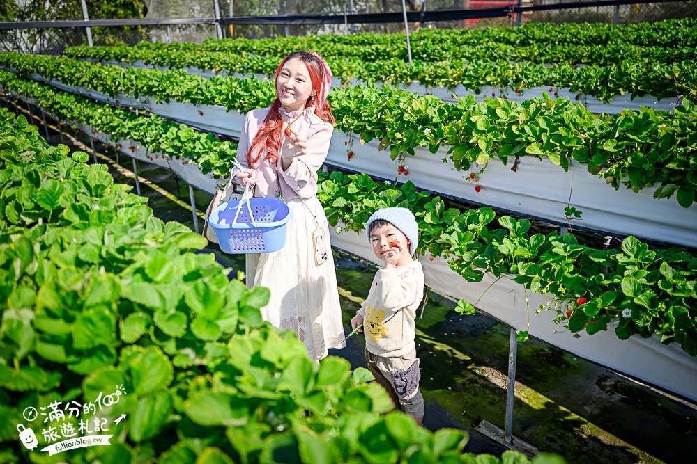 【草莓世界】台中免門票親子草莓園.超大高架草莓&地植草莓,還能玩拍草莓公仔吃草莓料理! 【草莓世界】台中免門票親子草莓園.超大高架草莓&地植草莓,還能玩拍草莓公仔吃草莓料理!