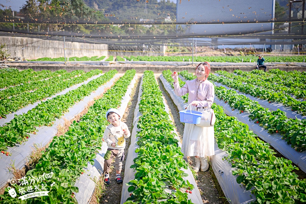 【草莓世界】台中免門票親子草莓園.超大高架草莓&地植草莓,還能玩拍草莓公仔吃草莓料理! 【草莓世界】台中免門票親子草莓園.超大高架草莓&地植草莓,還能玩拍草莓公仔吃草莓料理!