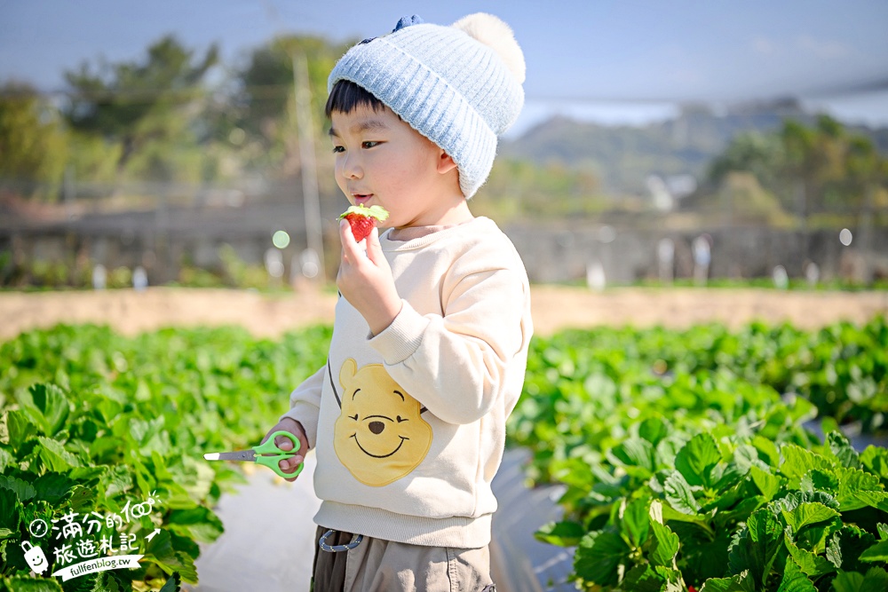 【草莓世界】台中免門票親子草莓園.超大高架草莓&地植草莓,還能玩拍草莓公仔吃草莓料理! 【草莓世界】台中免門票親子草莓園.超大高架草莓&地植草莓,還能玩拍草莓公仔吃草莓料理!