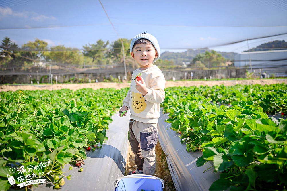 【草莓世界】台中免門票親子草莓園.超大高架草莓&地植草莓,還能玩拍草莓公仔吃草莓料理! 【草莓世界】台中免門票親子草莓園.超大高架草莓&地植草莓,還能玩拍草莓公仔吃草莓料理!