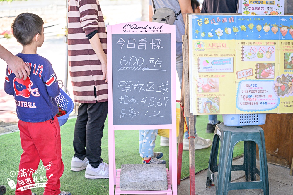 【草莓世界】台中免門票親子草莓園.超大高架草莓&地植草莓,還能玩拍草莓公仔吃草莓料理! 【草莓世界】台中免門票親子草莓園.超大高架草莓&地植草莓,還能玩拍草莓公仔吃草莓料理!