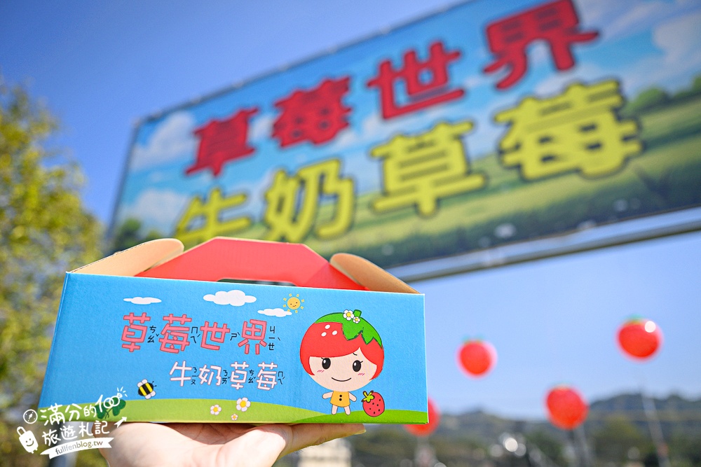 【草莓世界】台中免門票親子草莓園.超大高架草莓&地植草莓,還能玩拍草莓公仔吃草莓料理! 【草莓世界】台中免門票親子草莓園.超大高架草莓&地植草莓,還能玩拍草莓公仔吃草莓料理!