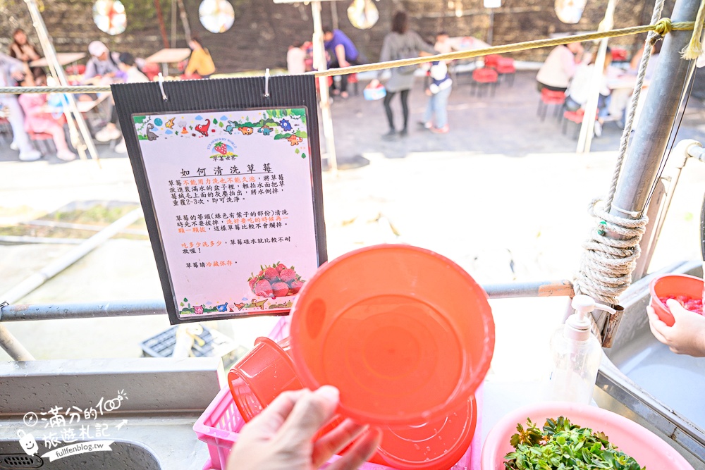 【草莓世界】台中免門票親子草莓園.超大高架草莓&地植草莓,還能玩拍草莓公仔吃草莓料理! 【草莓世界】台中免門票親子草莓園.超大高架草莓&地植草莓,還能玩拍草莓公仔吃草莓料理!