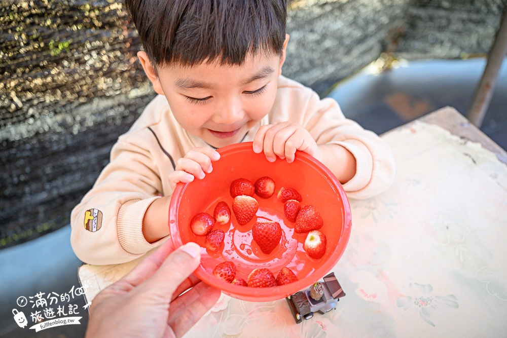 【草莓世界】台中免門票親子草莓園.超大高架草莓&地植草莓,還能玩拍草莓公仔吃草莓料理! 【草莓世界】台中免門票親子草莓園.超大高架草莓&地植草莓,還能玩拍草莓公仔吃草莓料理!