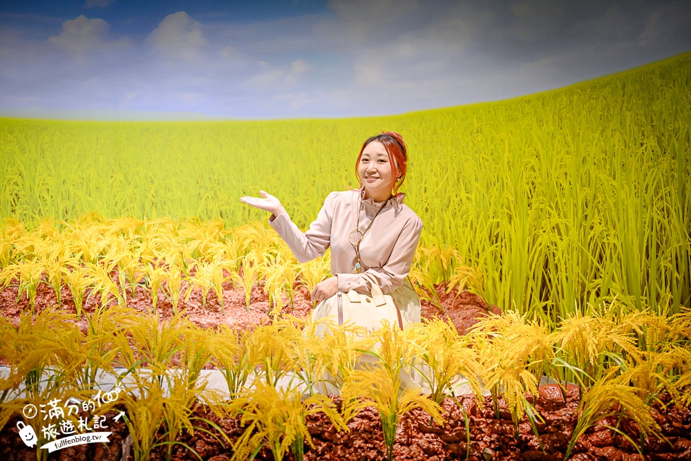 台中新景點【清水休閒觀光園區】免門票黃金稻穗展示館,彩虹列車.互動遊戲趣味十足! 台中新景點【清水休閒觀光園區】免門票黃金稻穗展示館,彩虹列車.互動遊戲趣味十足!