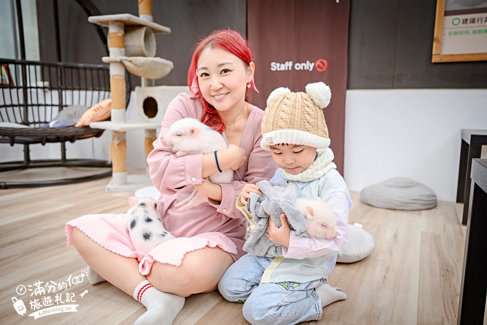 【2026蘭陽動植物王國最新場域玩樂攻略】TOP10必玩主題推薦.茶杯小豬互動.澳洲袋鼠.大白鵜鶘.巨嘴鳥.泰迪羊通通可以互動餵食,還能玩手作划船超特別!