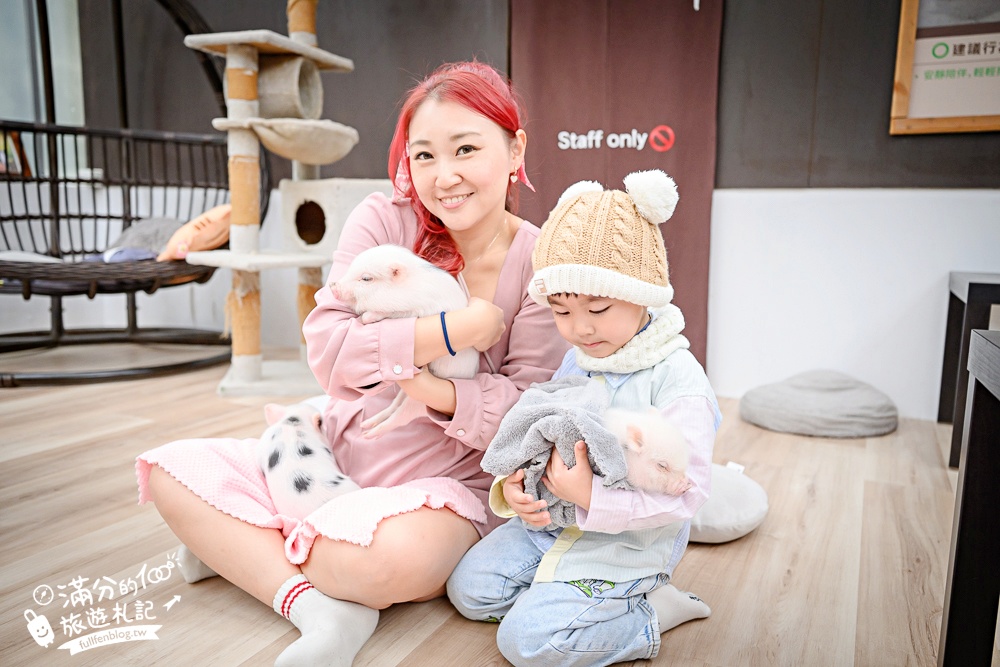 【2026蘭陽動植物王國最新場域玩樂攻略】TOP10必玩主題推薦.茶杯小豬互動.澳洲袋鼠.大白鵜鶘.巨嘴鳥.泰迪羊通通可以互動餵食,還能玩手作划船超特別!