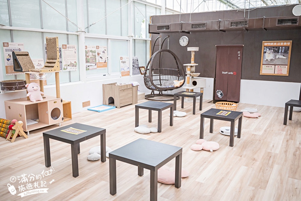 【2026蘭陽動植物王國最新場域玩樂攻略】TOP10必玩主題推薦.茶杯小豬互動.澳洲袋鼠.大白鵜鶘.巨嘴鳥.泰迪羊通通可以互動餵食,還能玩手作划船超特別!