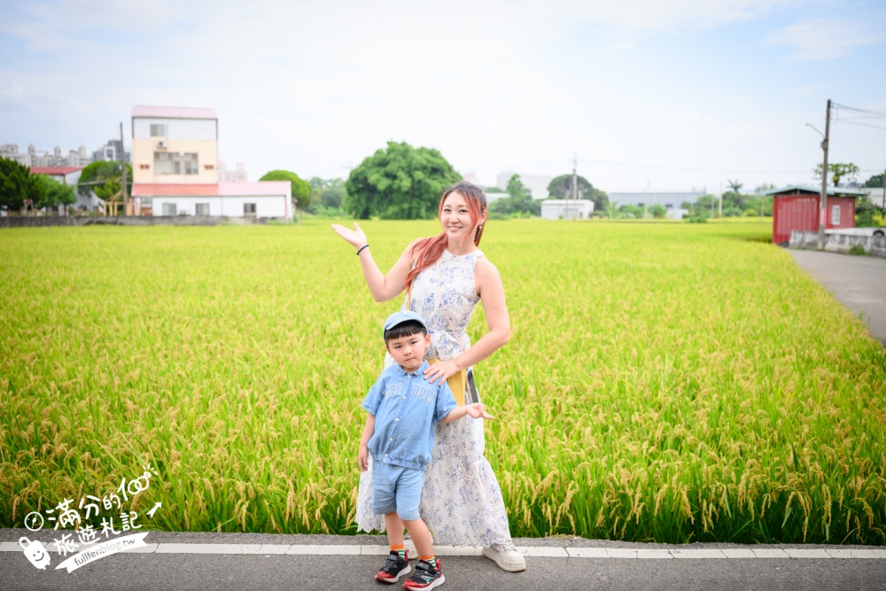 台中【田寮農莊】台中落羽松庭院餐廳,純樸鄉村風~療癒的水上蓮花池步道!