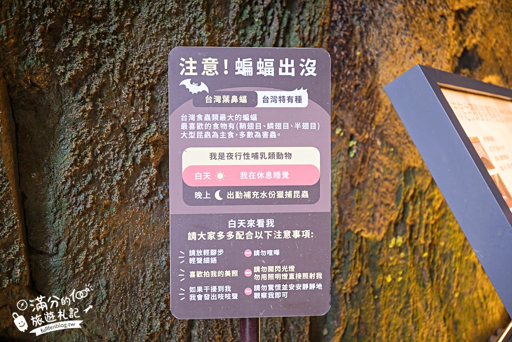 【劉銘傳隧道】基隆新景點.百年獅球嶺隧道開放.黃金隧道神秘又夢幻.親子輕鬆探索的歷史生態洞穴！