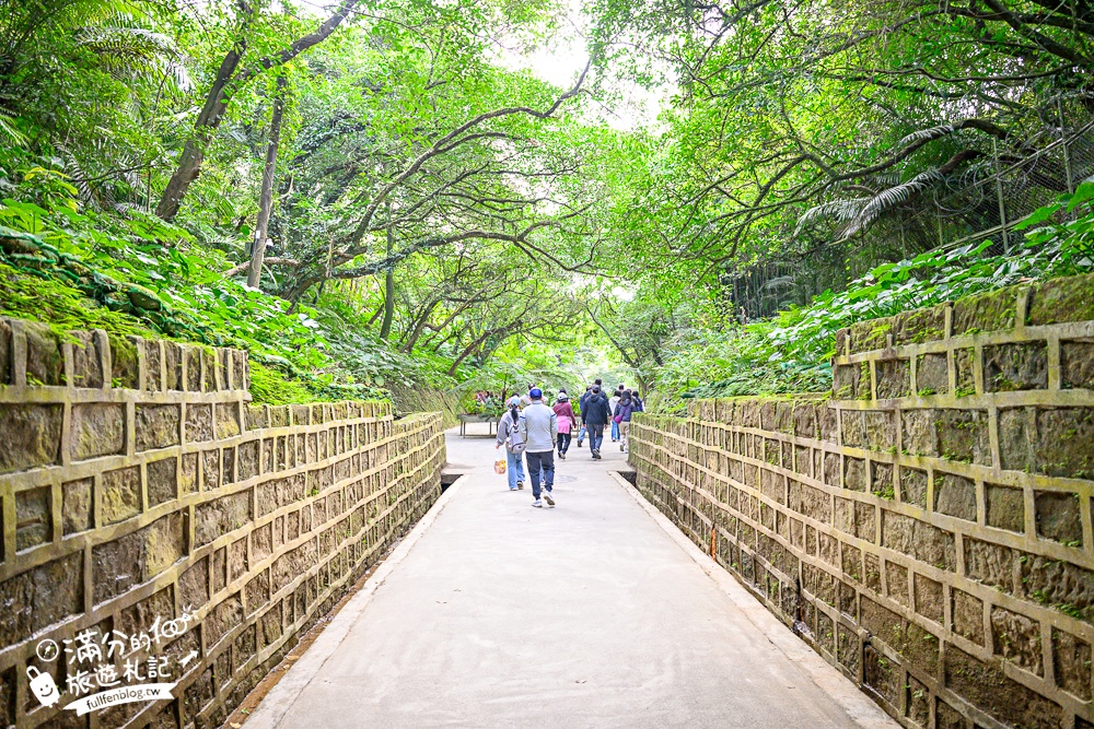 【劉銘傳隧道】基隆新景點.百年獅球嶺隧道開放.黃金隧道神秘又夢幻.親子輕鬆探索的歷史生態洞穴！