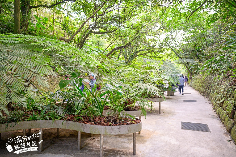 【劉銘傳隧道】基隆新景點.百年獅球嶺隧道開放.黃金隧道神秘又夢幻.親子輕鬆探索的歷史生態洞穴！