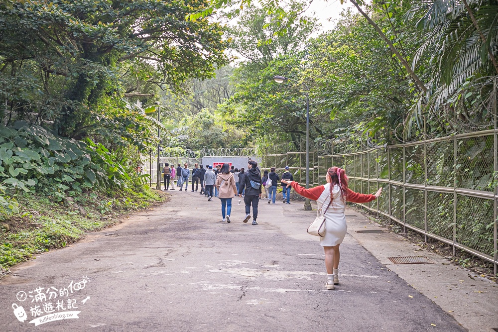【劉銘傳隧道】基隆新景點.百年獅球嶺隧道開放.黃金隧道神秘又夢幻.親子輕鬆探索的歷史生態洞穴！