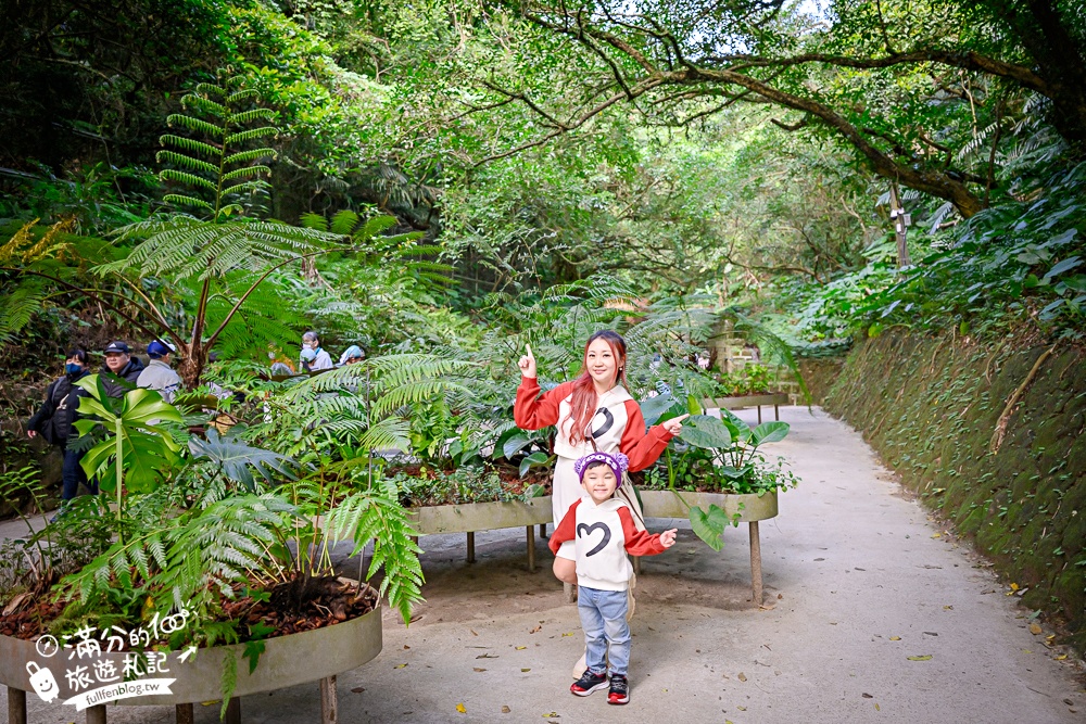 【劉銘傳隧道】基隆新景點.百年獅球嶺隧道開放.黃金隧道神秘又夢幻.親子輕鬆探索的歷史生態洞穴！