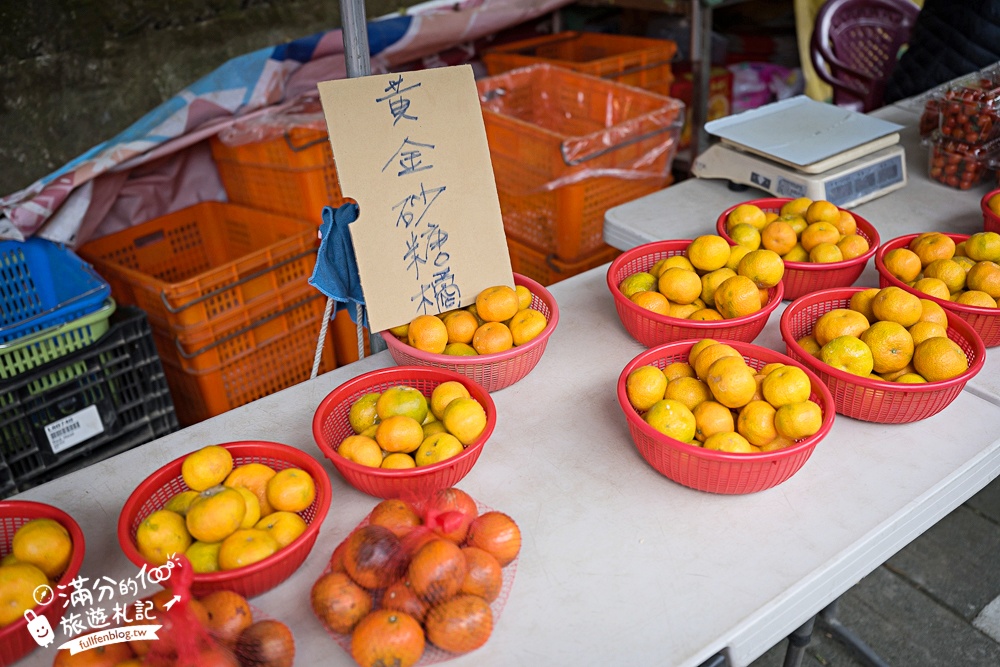 【泰安洗水坑豆腐街】苗栗清安豆腐街,百年歷史豆腐一條街,輕鬆逛必吃豆腐料理! 【泰安洗水坑豆腐街】苗栗清安豆腐街,百年歷史豆腐一條街,輕鬆逛必吃豆腐料理!