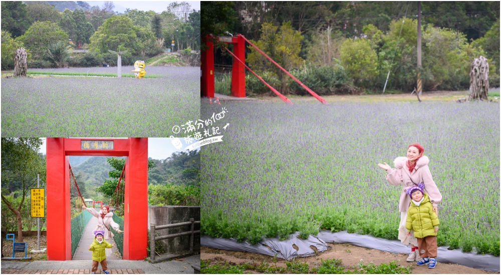 延伸閱讀：【苗栗獅潭薰衣草花海】最新花況,獅潭義民廟旁,大片薰衣草花田綻放中.季節限定紫色的浪漫!