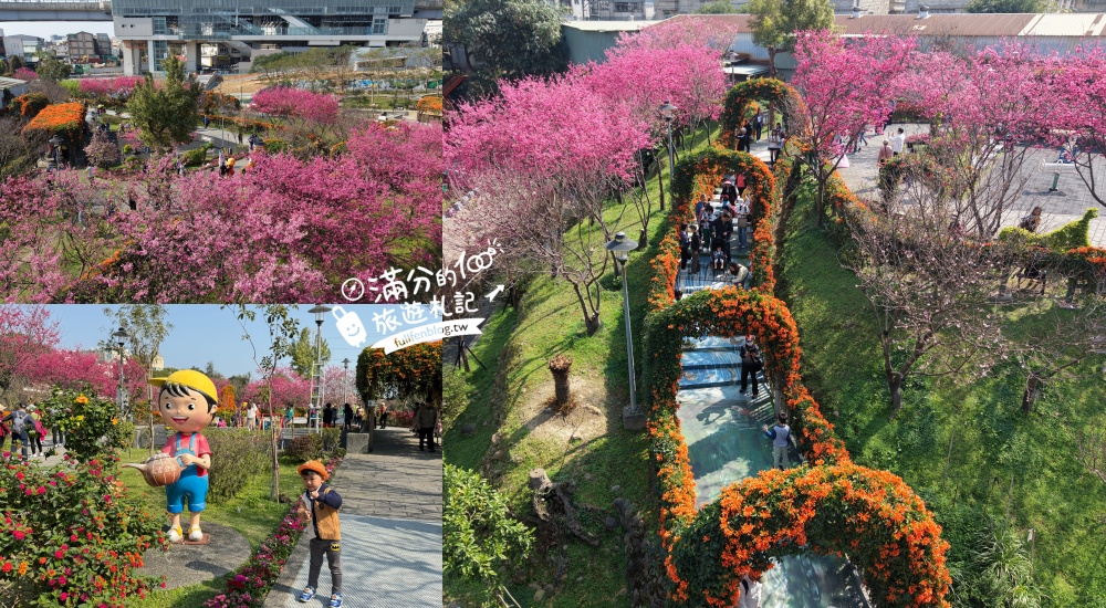 【鶯歌永吉公園】2026最新花況.炮仗花&櫻花齊放超夢幻.免門票親子共融公園~鶯歌最美的炮仗花拱門隧道！ @滿分的旅遊札記