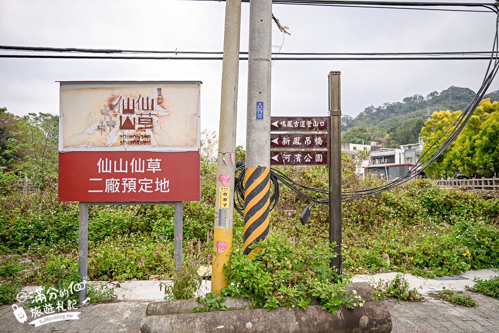 【苗栗獅潭薰衣草花海】最新花況,獅潭義民廟旁,大片薰衣草花田綻放中.季節限定紫色的浪漫!