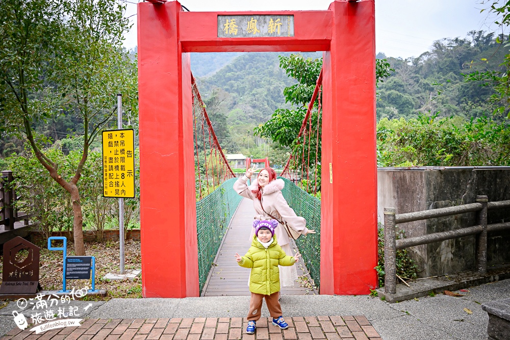 【苗栗獅潭薰衣草花海】最新花況,獅潭義民廟旁,大片薰衣草花田綻放中.季節限定紫色的浪漫!