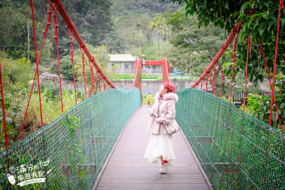 【苗栗獅潭薰衣草花海】最新花況,獅潭義民廟旁,大片薰衣草花田綻放中.季節限定紫色的浪漫!