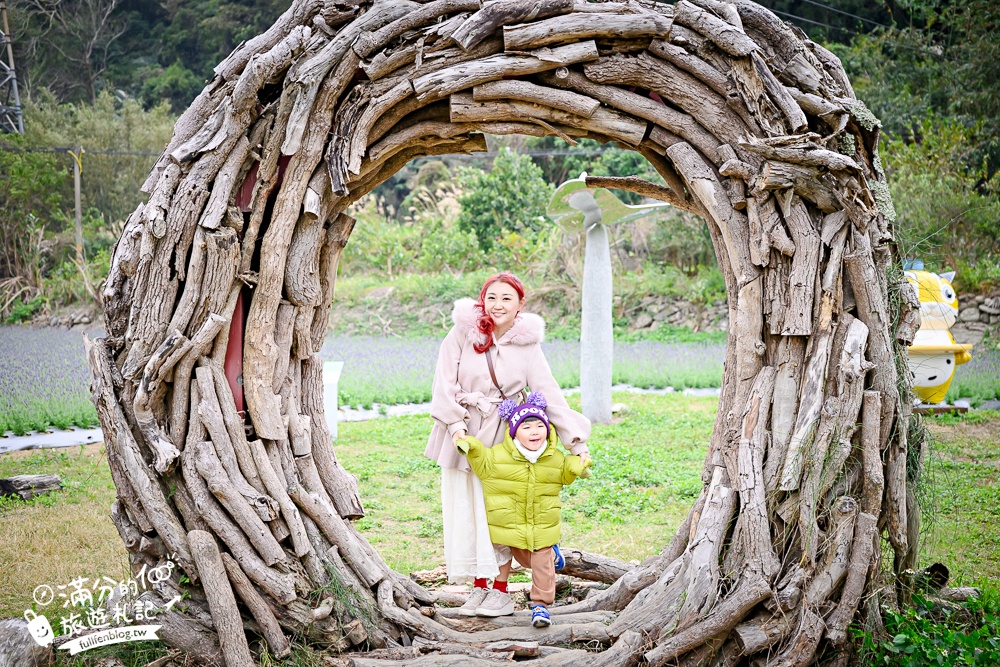 【苗栗獅潭薰衣草花海】最新花況,獅潭義民廟旁,大片薰衣草花田綻放中.季節限定紫色的浪漫!