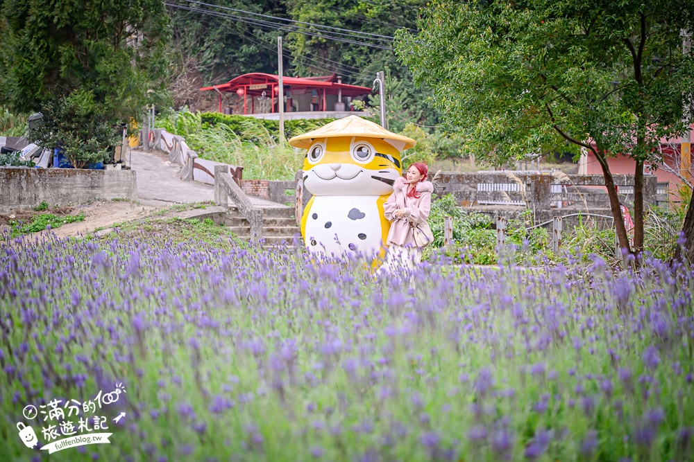 【仙山仙草】苗栗獅潭必吃創意仙草料理.炸仙草.仙草板條.仙草火鍋超特別.傳承三代的復古懷舊餐廳!