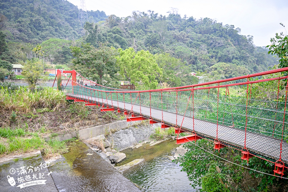 【苗栗獅潭薰衣草花海】最新花況,獅潭義民廟旁,大片薰衣草花田綻放中.季節限定紫色的浪漫!