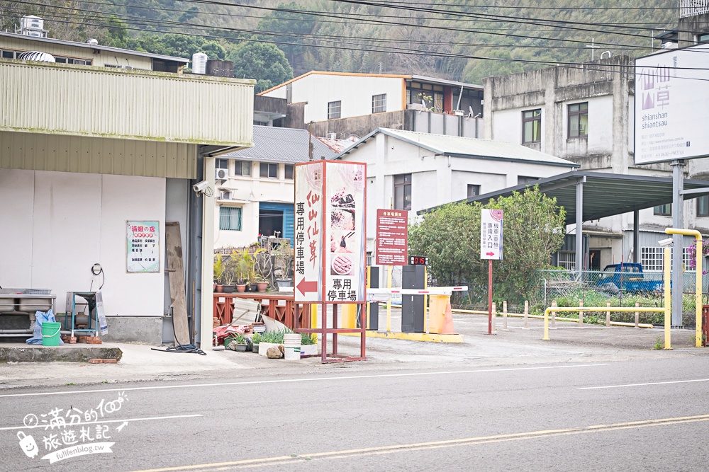 【苗栗獅潭薰衣草花海】最新花況,獅潭義民廟旁,大片薰衣草花田綻放中.季節限定紫色的浪漫!