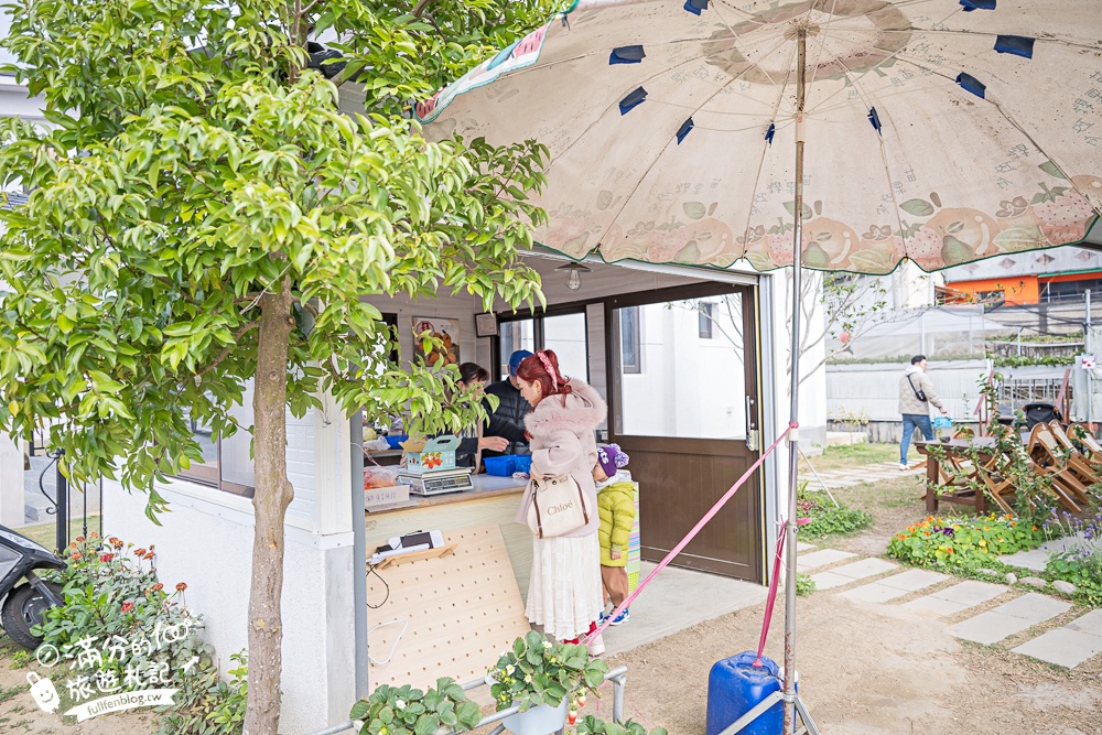 【赤坡高架草莓園】苗栗親子高架草莓園推薦,採草莓.吃甜點.下午茶~文青風質感草莓咖啡館!