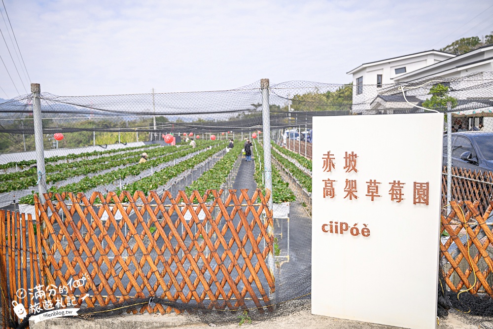 【赤坡高架草莓園】苗栗親子高架草莓園推薦,採草莓.吃甜點.下午茶~文青風質感草莓咖啡館!