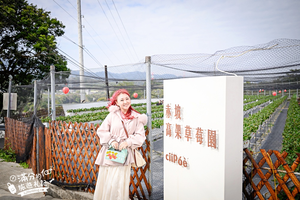 【赤坡高架草莓園】苗栗親子高架草莓園推薦,採草莓.吃甜點.下午茶~文青風質感草莓咖啡館!
