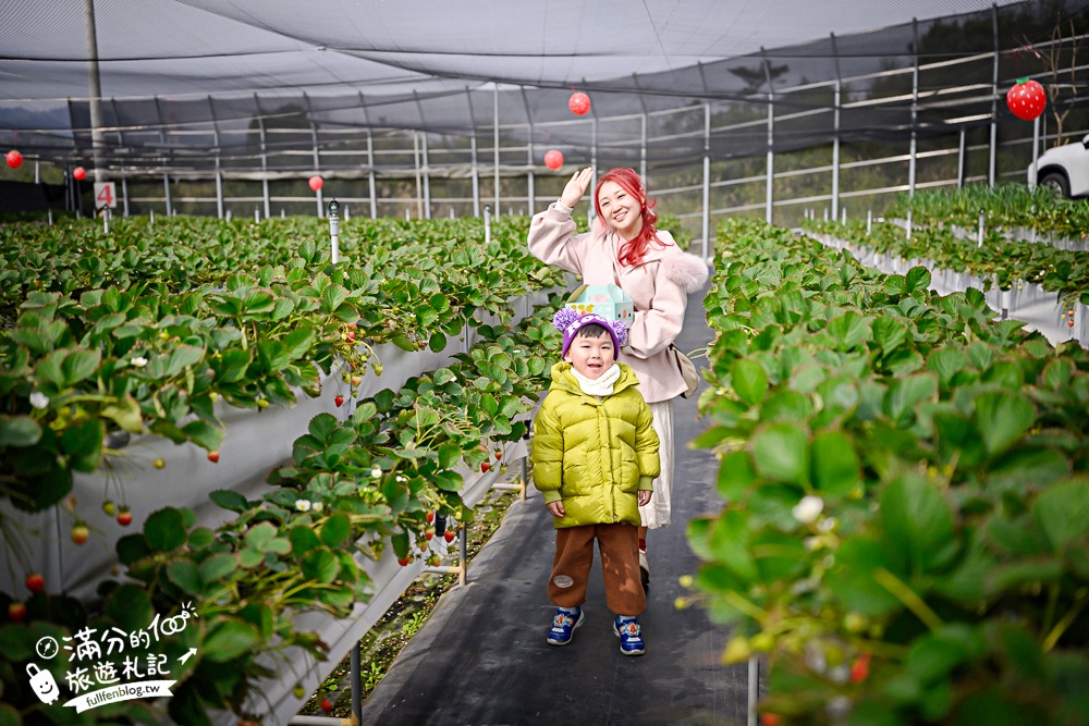 【赤坡高架草莓園】苗栗親子高架草莓園推薦,採草莓.吃甜點.下午茶~文青風質感草莓咖啡館!