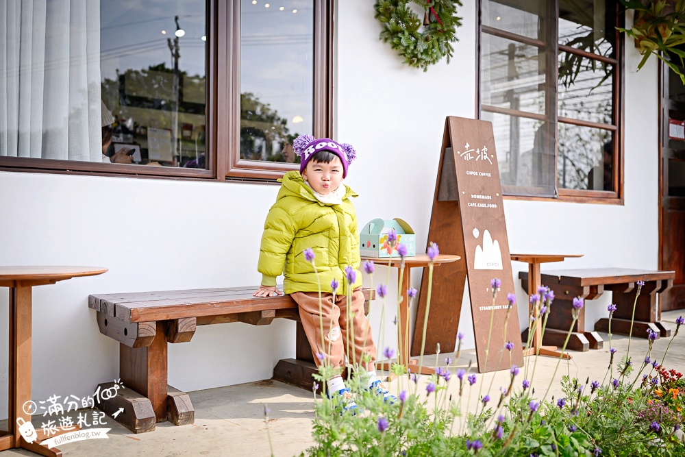 【赤坡高架草莓園】苗栗親子高架草莓園推薦,採草莓.吃甜點.下午茶~文青風質感草莓咖啡館!