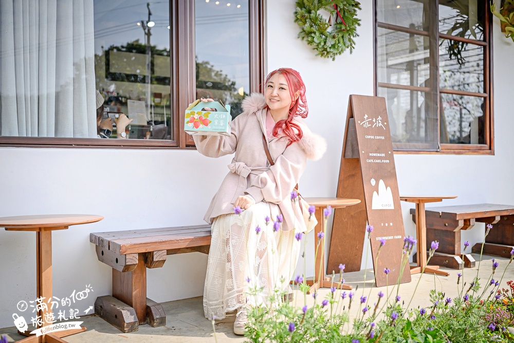 【赤坡高架草莓園】苗栗親子高架草莓園推薦,採草莓.吃甜點.下午茶~文青風質感草莓咖啡館!