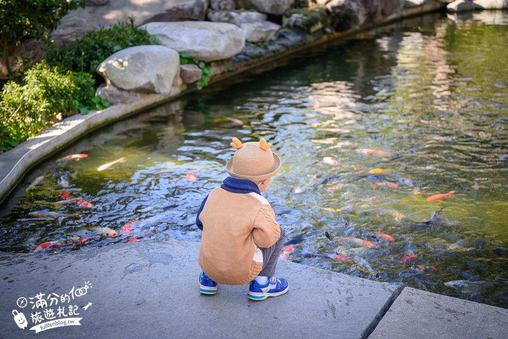 台中【義虎堂虎爺廟】孩子的守護神,求福求財求平安,還能賞櫻花.走生態池餵魚,看高鐵奔馳!