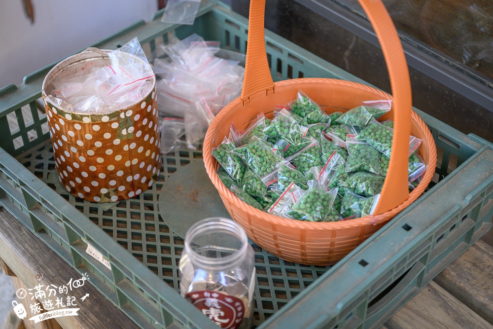 台中【義虎堂虎爺廟】孩子的守護神,求福求財求平安,還能賞櫻花.走生態池餵魚,看高鐵奔馳!