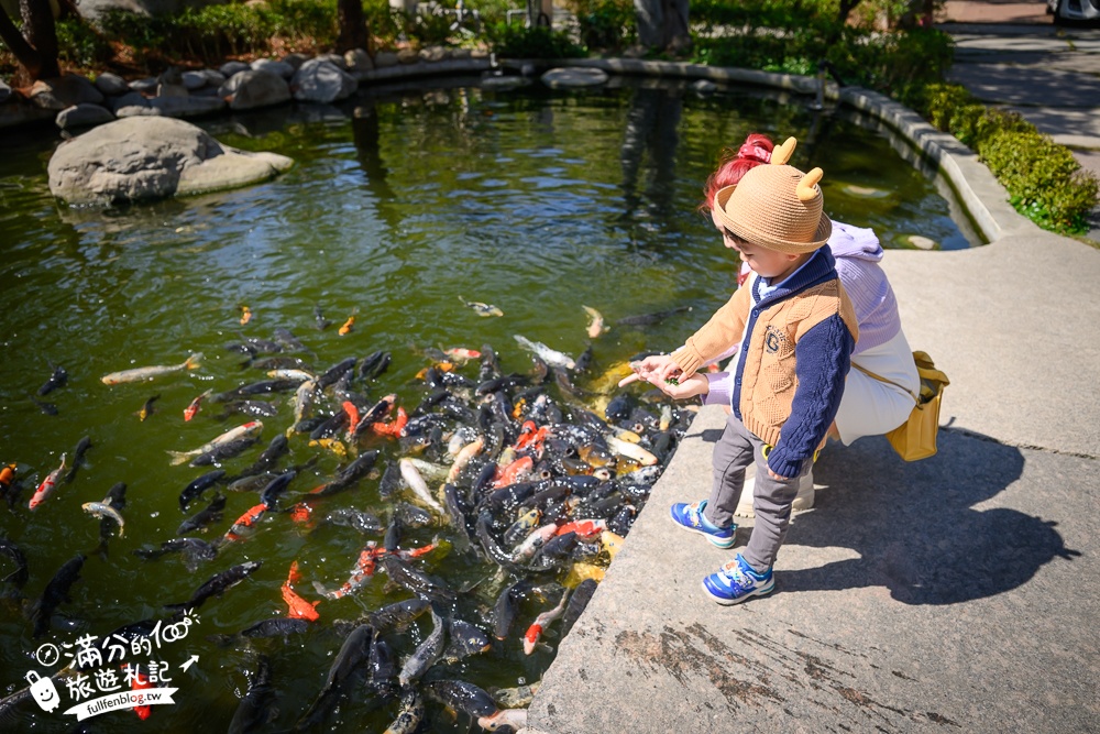 台中【義虎堂虎爺廟】孩子的守護神,求福求財求平安,還能賞櫻花.走生態池餵魚,看高鐵奔馳!
