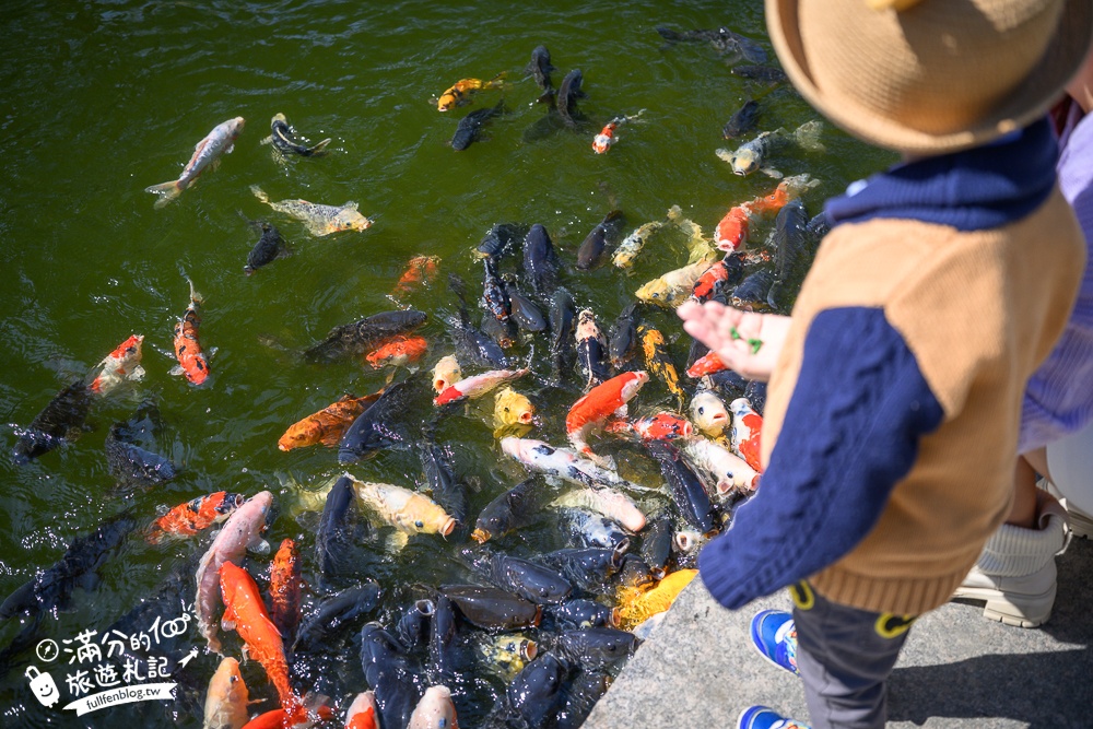台中【義虎堂虎爺廟】孩子的守護神,求福求財求平安,還能賞櫻花.走生態池餵魚,看高鐵奔馳!