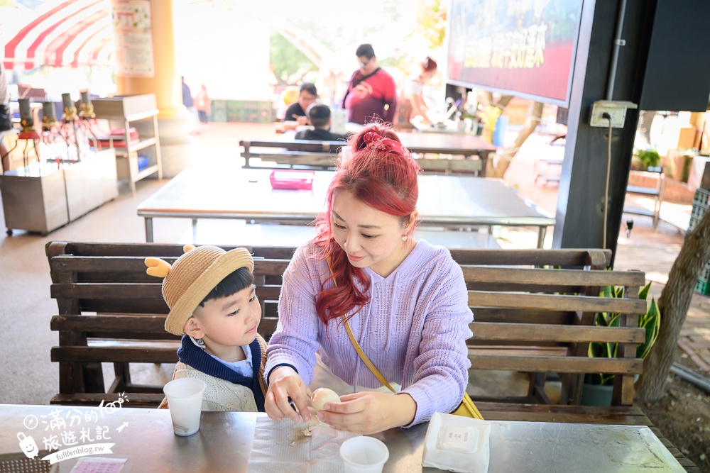 台中【義虎堂虎爺廟】孩子的守護神,求福求財求平安,還能賞櫻花.走生態池餵魚,看高鐵奔馳!