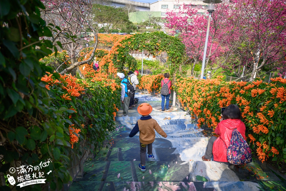 【鶯歌永吉公園】2026最新花況.炮仗花&櫻花齊放超夢幻.免門票親子共融公園~鶯歌最美的炮仗花拱門隧道！