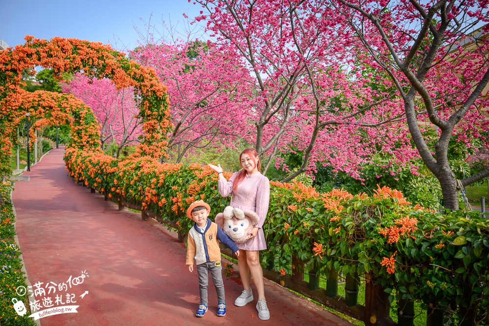【鶯歌永吉公園】2026最新花況.炮仗花&櫻花齊放超夢幻.免門票親子共融公園~鶯歌最美的炮仗花拱門隧道！
