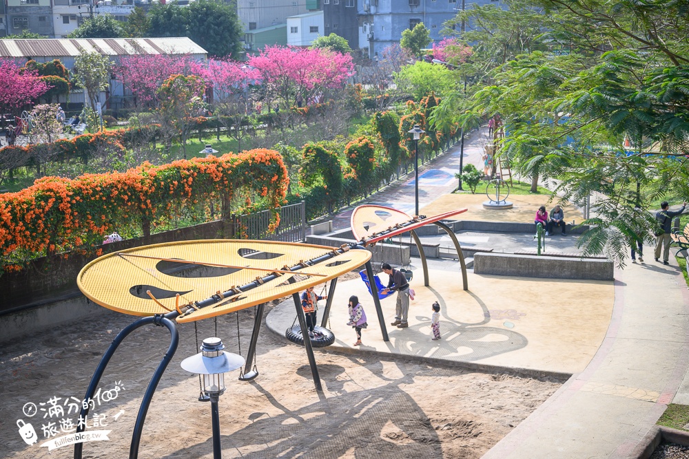 【鶯歌永吉公園】2026最新花況.炮仗花&櫻花齊放超夢幻.免門票親子共融公園~鶯歌最美的炮仗花拱門隧道！